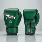 Gant de boxe thaï | Fairtex BGV16 - cuir authentique